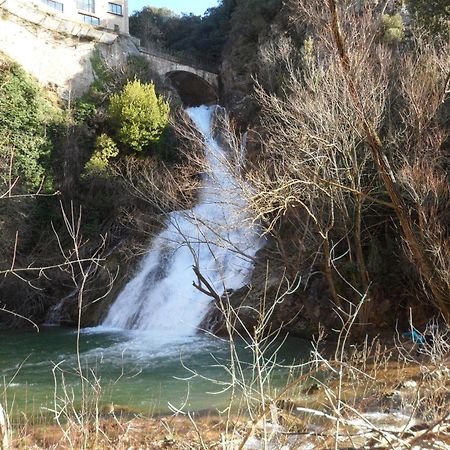 Bed and Breakfast La Pinede De Manon Barjols Exterior foto
